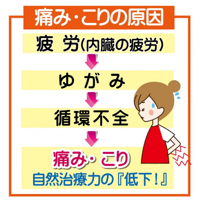 痛み・こりの原因